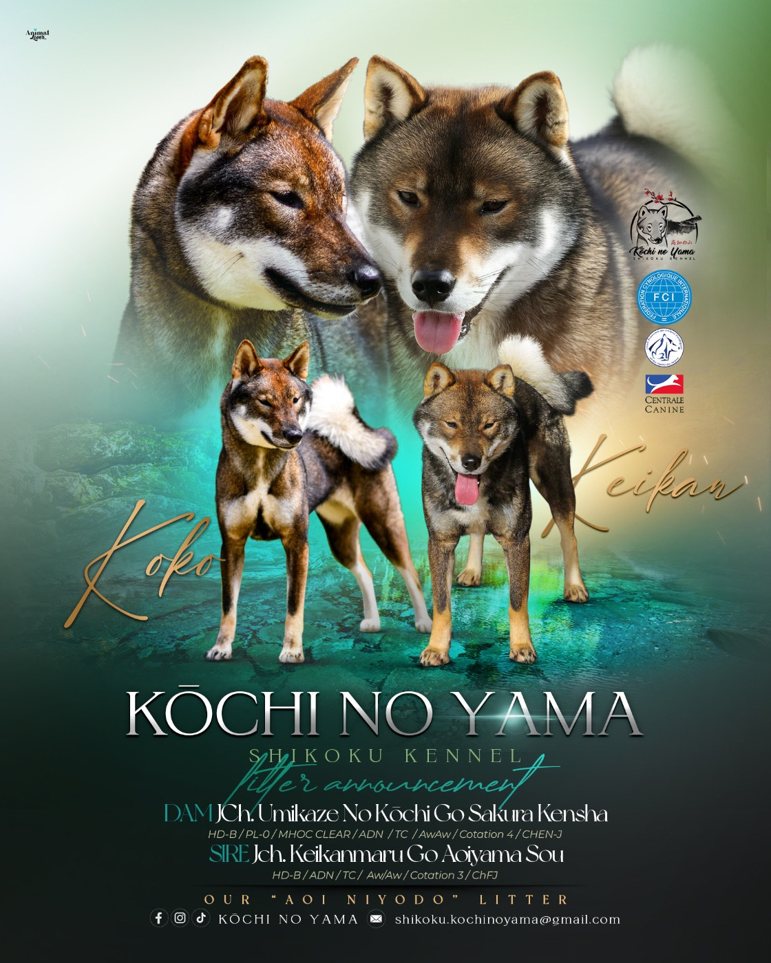 Gestation confirmée