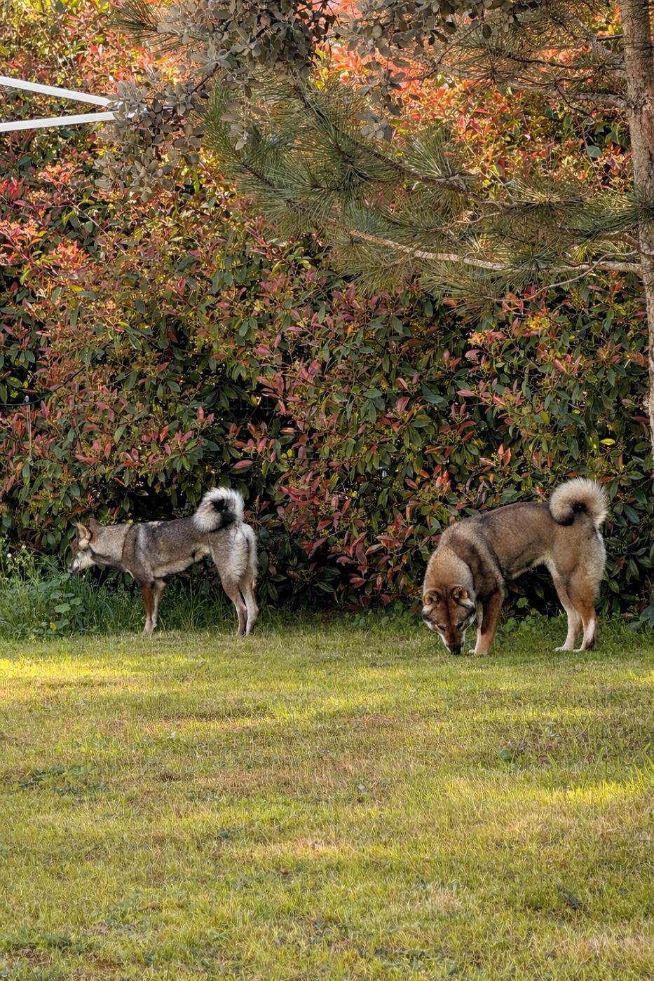 Programme début 2026